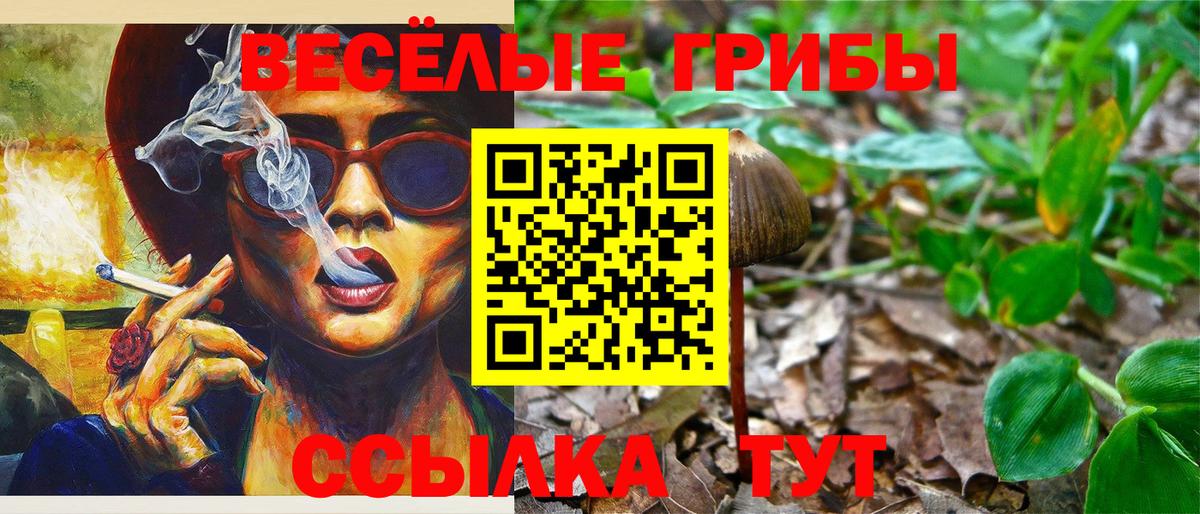 Галлюциногенные грибы Psilocybine cubensis  Псилоцибиновые грибы прущие грибы  Вход с VPN  Абакан 